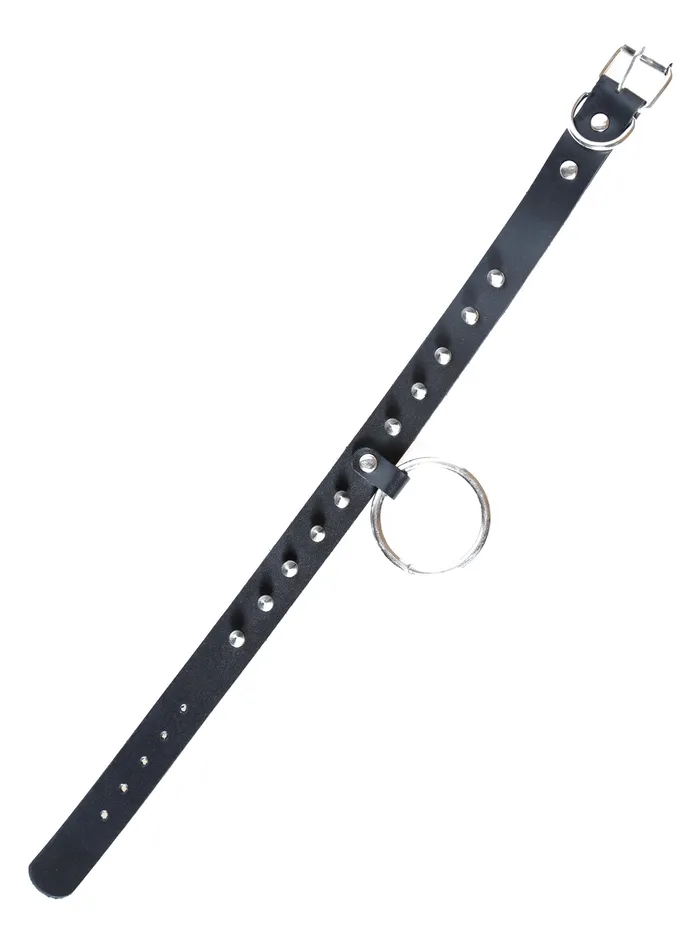 HonourSkintwocom Male Sex Toys Spiked Large ORing Collar